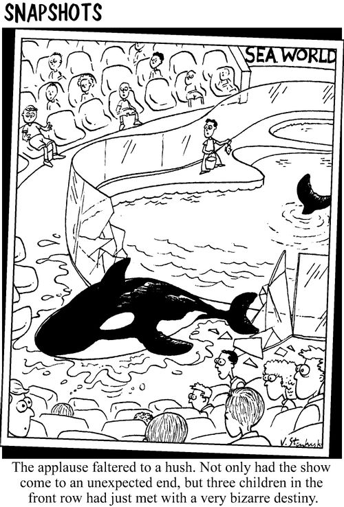 Whale at Sea World