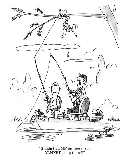 'It didn't jump up there, you yanked it up there!'