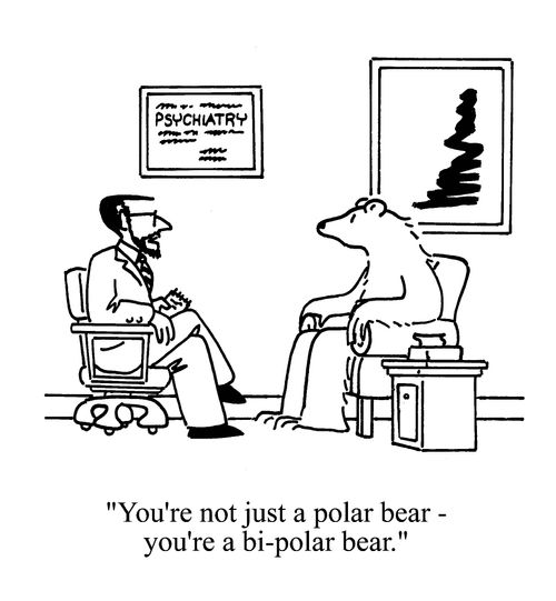 'You're not just a polar bear - you're a bi-polar bear.'