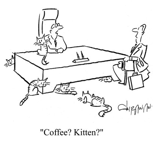 'Coffee? Kitten?'