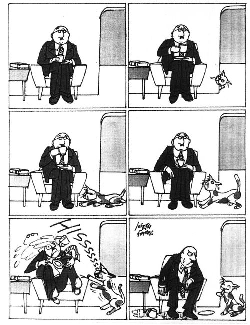 A Cat's Subtle Hint.