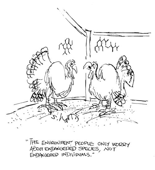'The environment people only worry about endangered species, not endangered invididuals.'