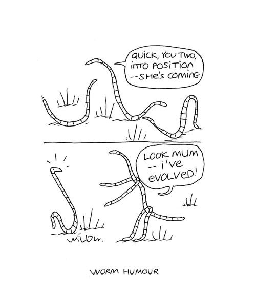 Worm humour