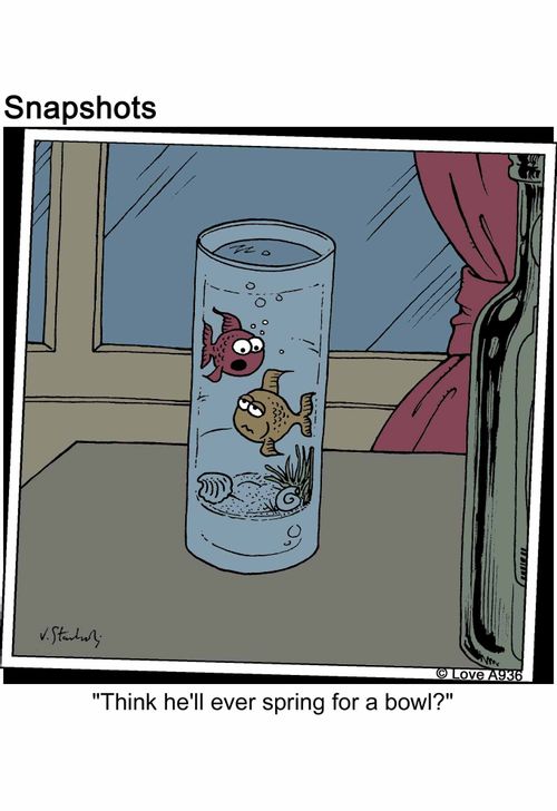 'Think he'll ever spring for a bowl?'