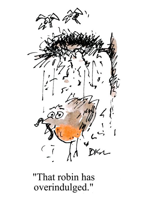 'That robin has over indulged.'