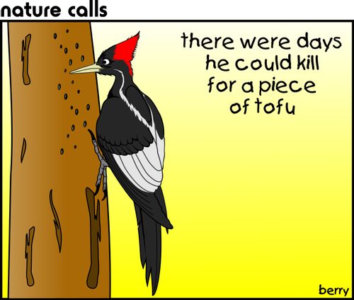 "There were days he could kill for a piece of tofu."