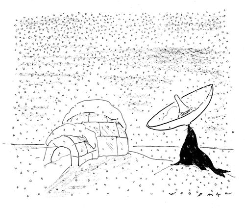 Seal and a Satellite dish.