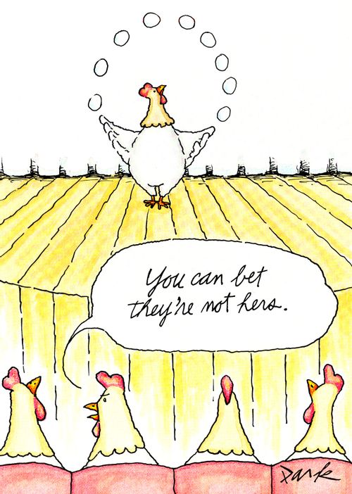 'You can bet they're not hens.'