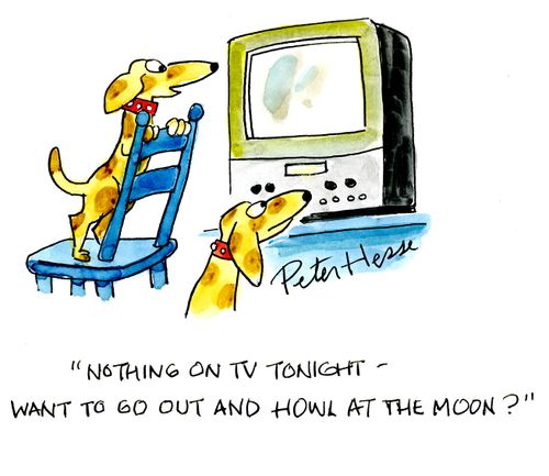 'Nothing on TV tonight - want to go out and howl at the moon?'