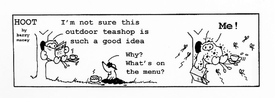 "I'm not sure this outdoor teashop is such a good idea."