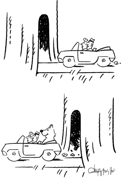 Couple driving through a tunnel and coming out with a bear in their car.