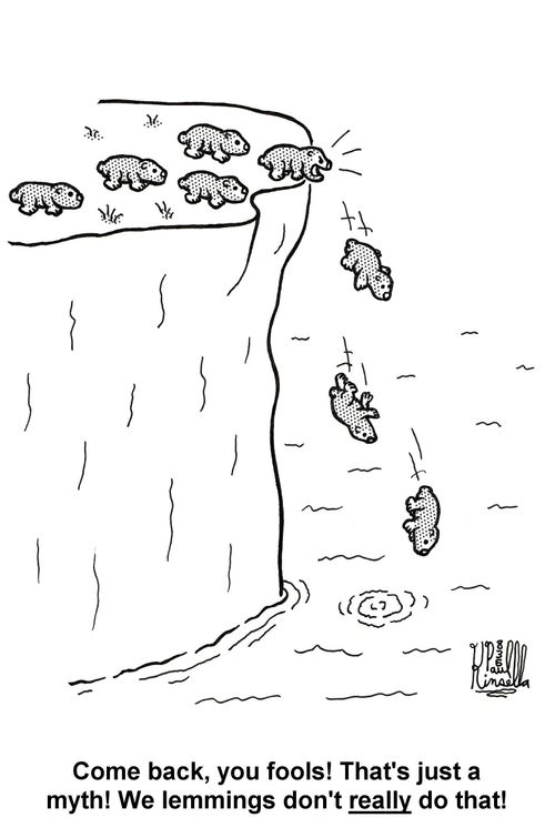 'Come back, you fools! That's just a myth! We lemmings don't really do that!'