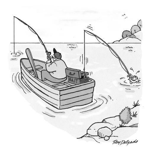 Fish Thieves