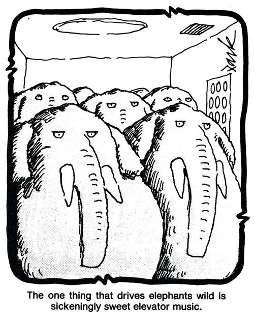 The one thing that drives elephants wild is sickeningly sweet elevator music.
