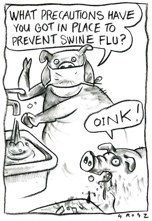 'What precautions,have you got in place to prevent swine flu?'