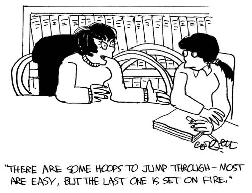 'There are some hoops to jump through...the last one is set on fire.'