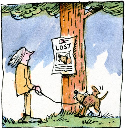 Lost dog poster.