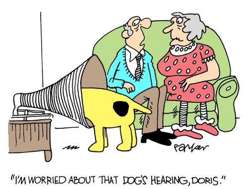 'I'm worried about that dog's hearing,Doris.'