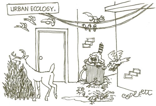Urban ecology.