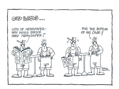 Why would birdie need newspaper?
