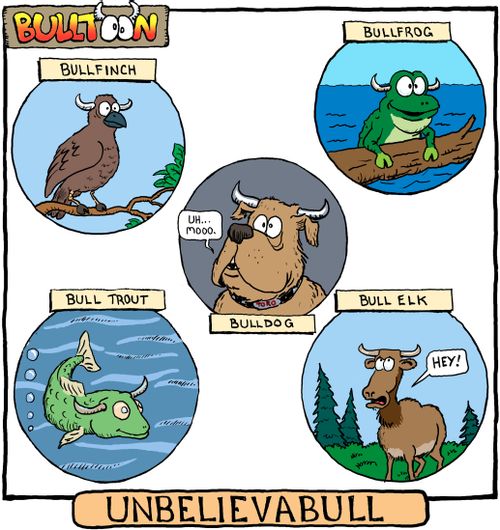 Bulltoon: Unbelievabull.