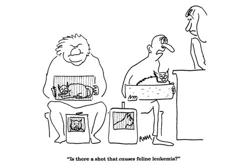'Is there a shot that causes feline leukemia?'