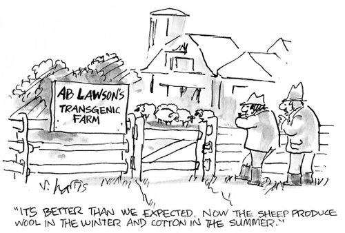 'It's better than we expected.  Now the sheep produce wool in the winter and cotton in the summer.'