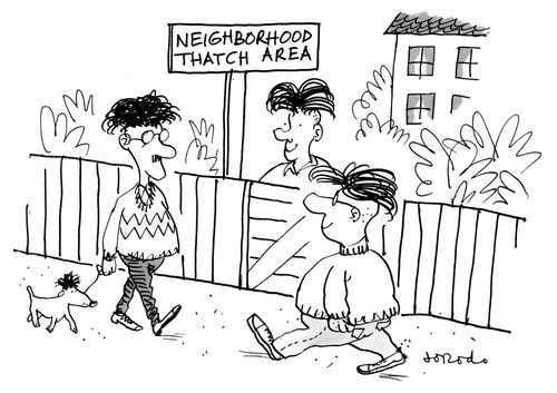 Neighborhood thatch area with men and dog wearing wigs.