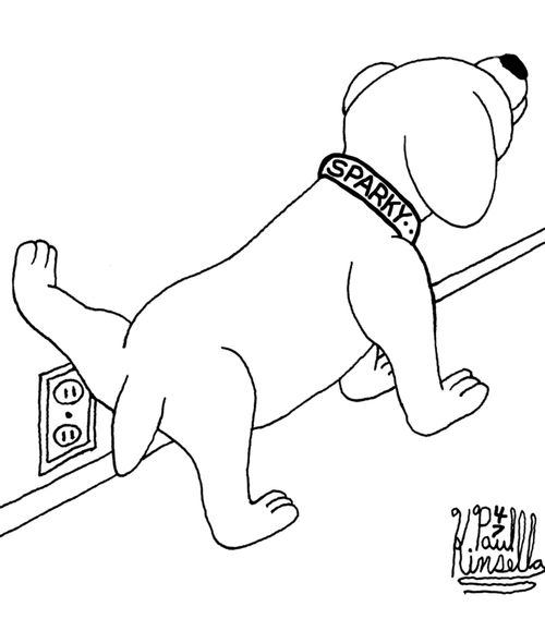 Sparky (dog about to pee on electrical outlet)