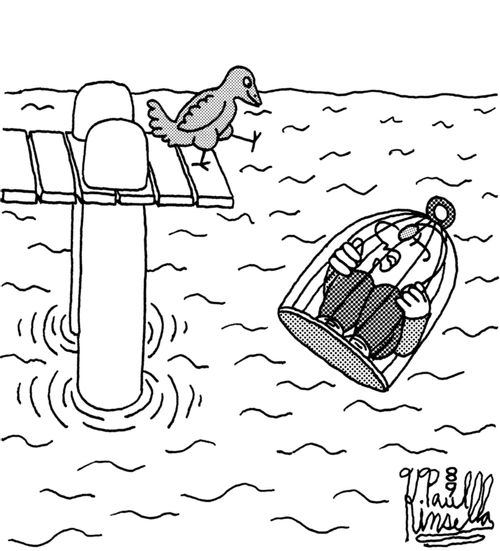 Rebellious and vengeful pet bird.