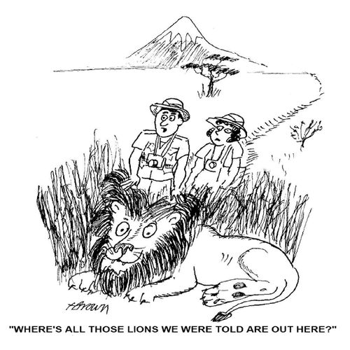 'Where's all those lions we were told are out here?'