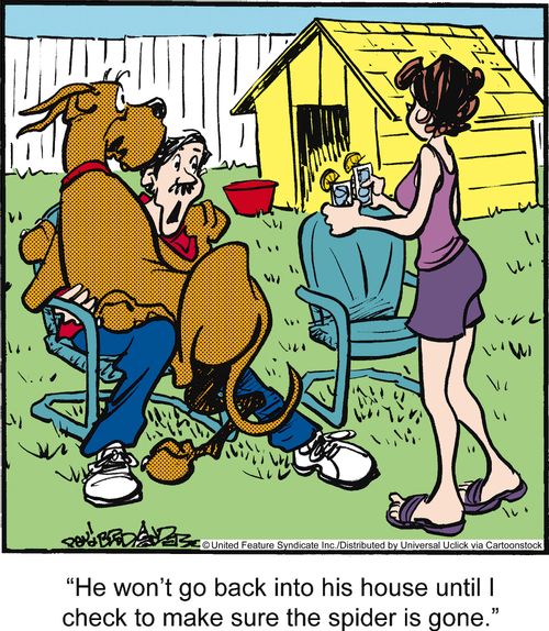 'He won't go back into his house until I check to make sure the spider is gone.'