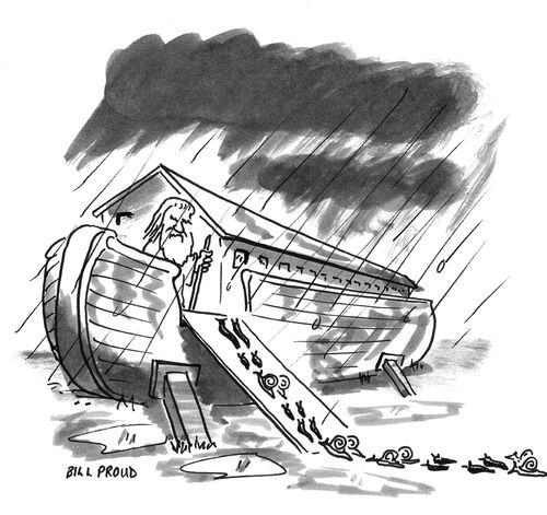 Noah's Ark slugs.