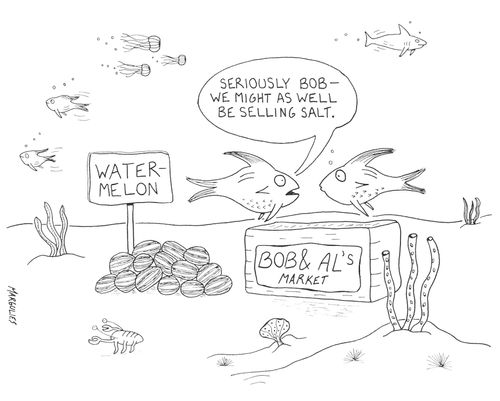 'Seriously Bob - we might as well be selling salt.'