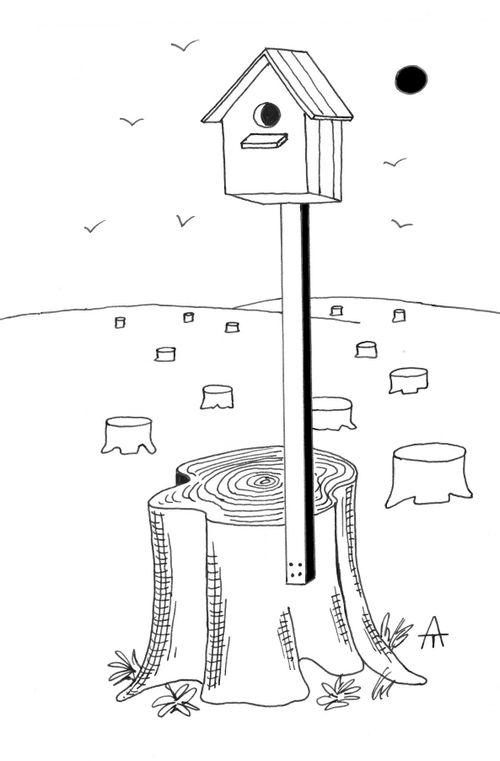 A bird house is all that remains of a forest.