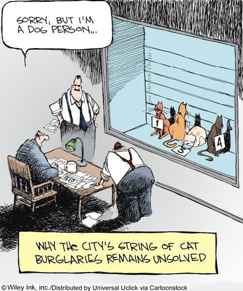 Why the city's string of cat burglaries remains unsolved.