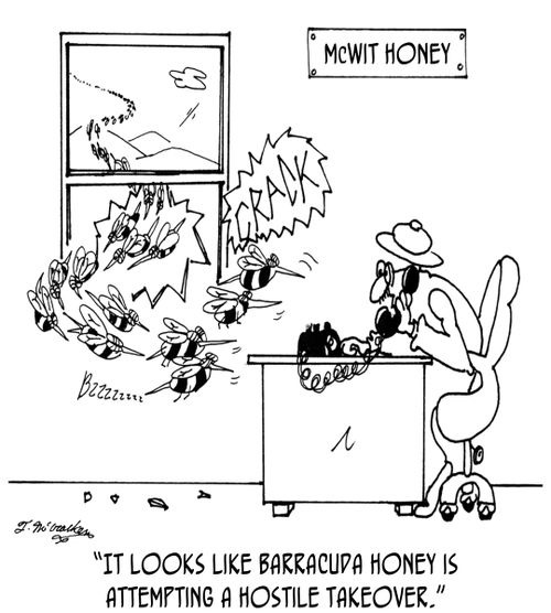 'It looks like Barracuda Honey is attempting a hostile takeover.'