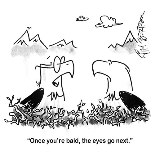 'Once you're bald, the eyes go next.'