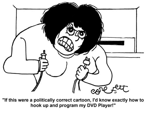'If this were a politically correct cartoon, I'd know exactly how to hook up and program my DVD Player!'