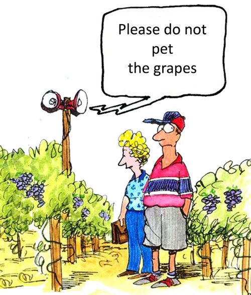 Please do not pet the grapes.