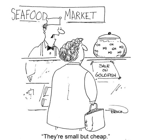 'They're small but cheap.'