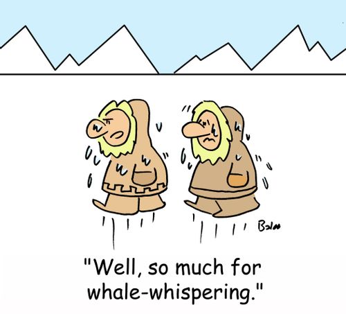 'Well, so much for whale-whispering.'