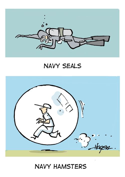 Nave SEALS - Navy Hamsters