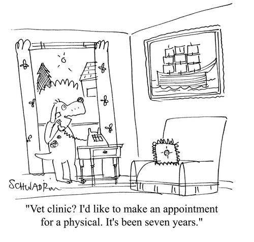 'Vet clinic? I'd like to make an appointment for a physical. It's been seven years.'