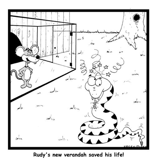 Rudy's new verandah saved his life!