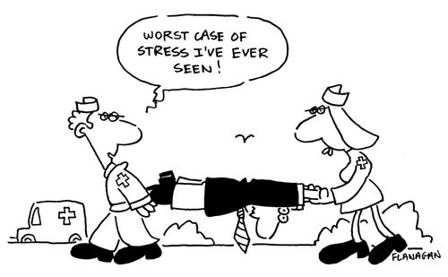 Worst case of stress I've ever seen!