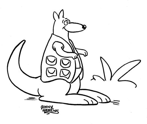 Kangaroo wears pocket jacket.