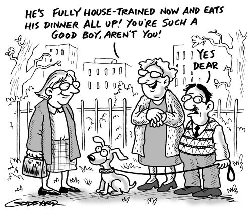 'He's fully house-trained now and eats his dinner all up! You're such a good boy aren't you!' - 'Yes dear'.
