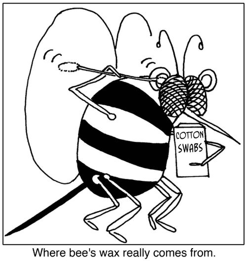 Where bee's wax really comes from.