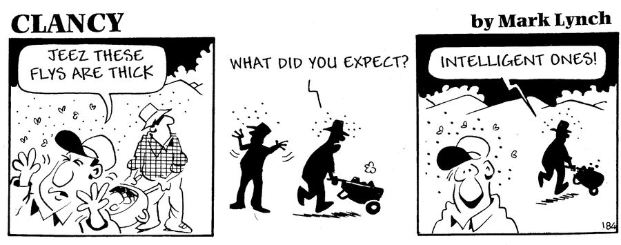 Clancy: Thick Flies